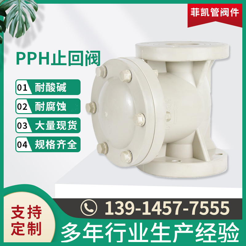 PPH止回阀